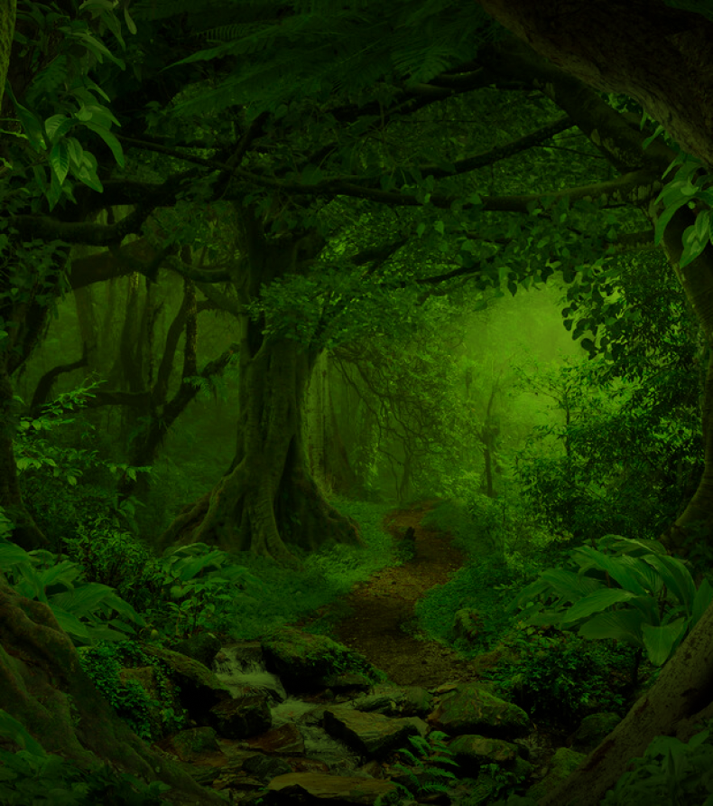 Na bruslích podél Amazonky background